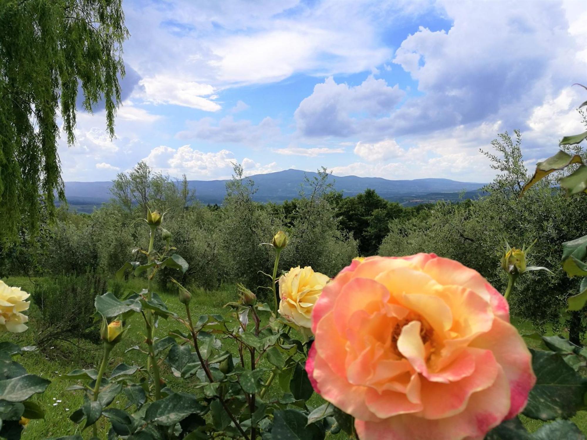 Agriturismo Cornieto Villa Monteleone dʼOrvieto Esterno foto